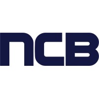 NCB Sistemas Embarcados Logo