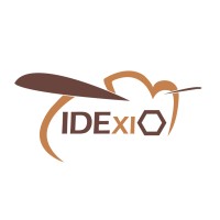 IDEXIO INVERSIONES Logo