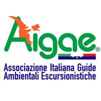 AIGAE Logo