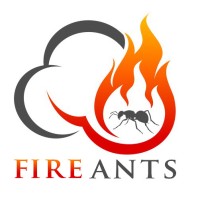 The Fire Ants Logo