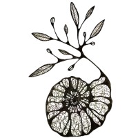 Gaia Consultoria em Arqueologia Logo