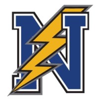 Niagara Power Baseball Logo