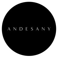ANDESANY Logo