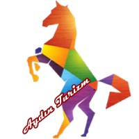 Aydın Turizm Logo
