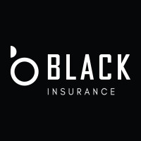 Black Insurance Logo