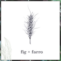 fig + farro Logo