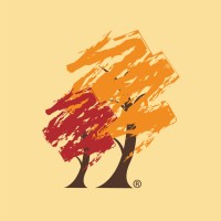 The Kim Foundation Logo