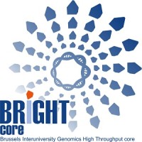 BRIGHTcore Logo