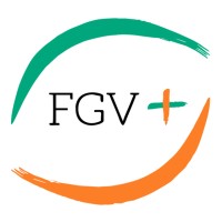 FGV+ Logo