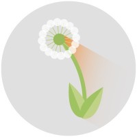 University of Tennessee Weed Diagnostics Center Logo