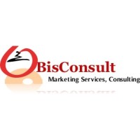 BisConsult (Business Information Services Consultants) Logo