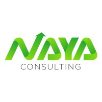 Naya Consulting LLC Logo