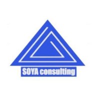 SOYAconsulting Logo