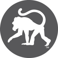 Frothy Monkey Logo