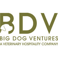 Big Dog Ventures Logo