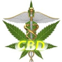 CBD OIL BENEFITS and Life Style Opportunities Logo