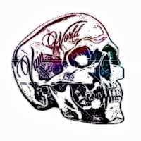 Vain World Recordings LLC Logo
