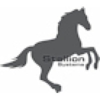 Stallion Systems Logo