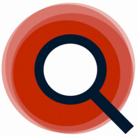 Websitescanner Logo