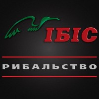 ІБІС Logo