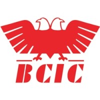 BCIC Karnataka Logo