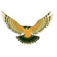 Falcon Express Cargo Airlines Logo