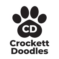 Crockett Doodles Logo