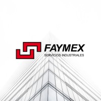 FAYMEX SpA Logo