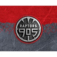 Raptors 905 Logo