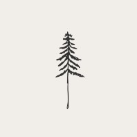 Pine Studios Logo