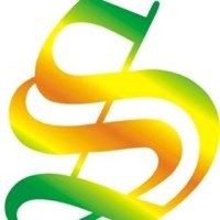 SOLUTIONSOFT(SDM) Logo