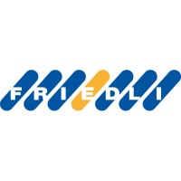 Friedli AG Engineering und Anlagenbau Logo