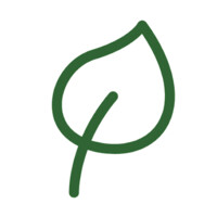 Koivu Solutions Oy Logo