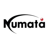 Numata Business IT Logo