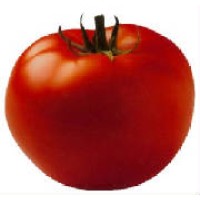 Tomato Solutions Logo