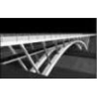 Statue RE Investments & Solutions Logo