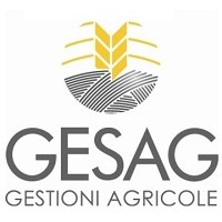 Gesag srl Logo