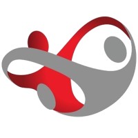 DSP Valley Logo