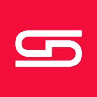 Daniel Salvi - Branding & Design Consulting Logo