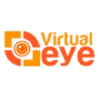 VirtualEye Logo