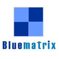Bluematrix Consultancy Private Limited Logo