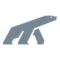 Polar NE Logo