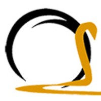 Centro Servizi Soldani srl Logo