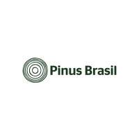 Pinus Brasil Ltda Logo