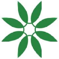 Verde Analítica Logo