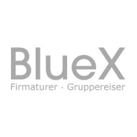 BlueX Logo