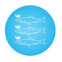 Stichting Omroep Scheveningen Logo