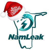 Namibia Leak Detection, Plumbing and Electrical Services Logo