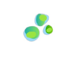 vegetalstorm-plantas para oficinas Logo