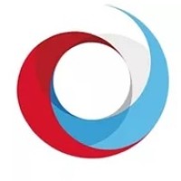 Capstone Project Solutions Logo